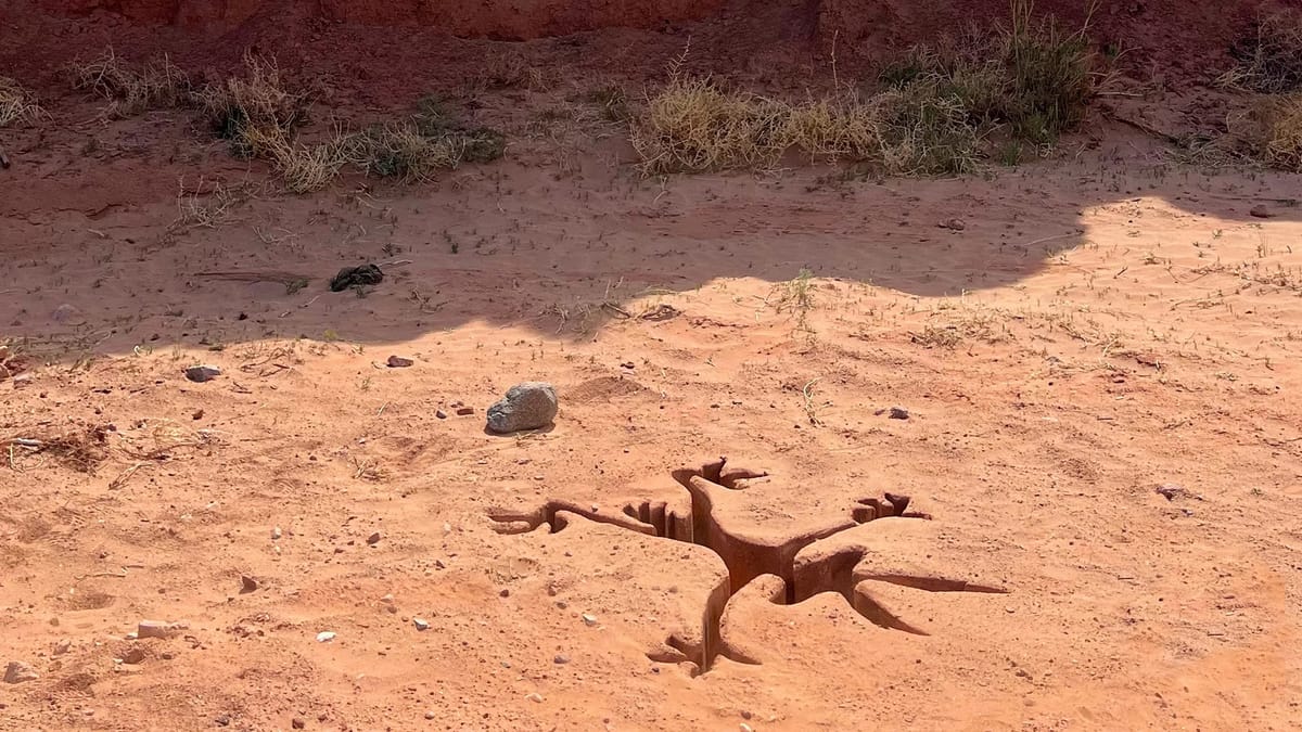 COYOTE VS. WARNER BROS.