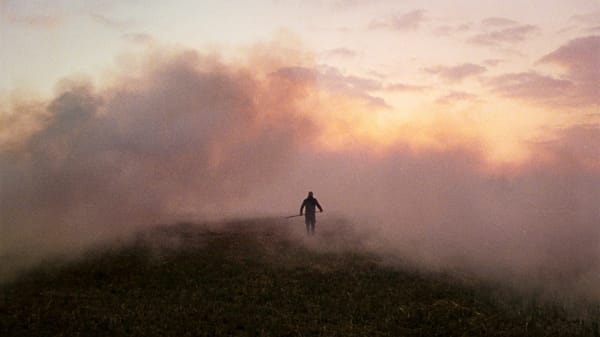 De Duivel in het riet: regisseur Sven Bresser over zijn intrigerende drama Rietland