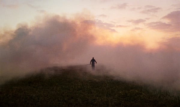 RECENSIE: Rietland