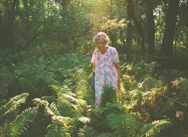 RECENSIE: Agatha's Almanac