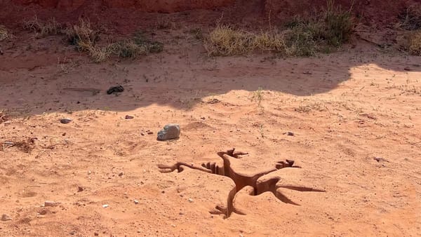 COYOTE VS. WARNER BROS.